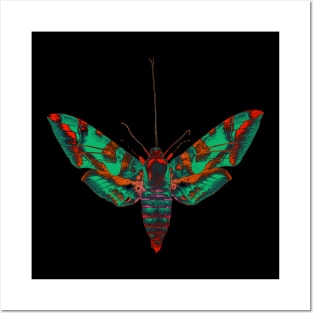 Psychedelic Moth Posters and Art